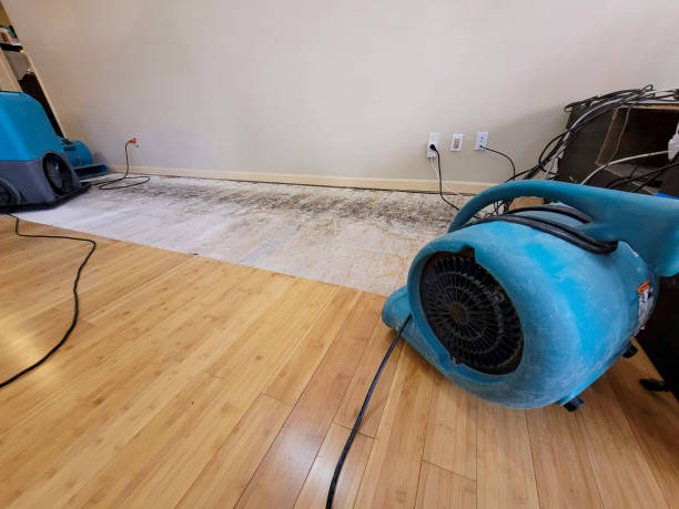 Professional Basement Flood Cleanup technician working in Lamar, CO